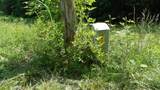580 Pleasant Cemetery Lane - Photo 30