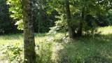 580 Pleasant Cemetery Lane - Photo 36
