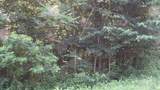 580 Pleasant Cemetery Lane - Photo 40