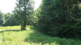 580 Pleasant Cemetery Lane - Photo 41