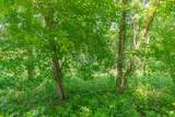0 Crestview Dr - Photo 37