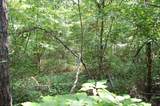 57 Hugh Allison Road - Photo 7