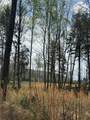 5 Calico Road - Photo 5