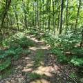 0 Eagle Point Drive - Photo 11
