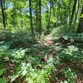 0 Eagle Point Drive - Photo 12