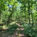 0 Eagle Point Drive - Photo 13
