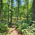 0 Eagle Point Drive - Photo 16