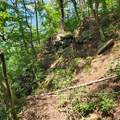 0 Eagle Point Drive - Photo 6