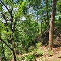 0 Eagle Point Drive - Photo 8