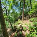 0 Eagle Point Drive - Photo 10