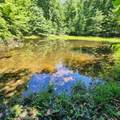 0 Eagle Point Drive - Photo 19