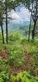 0 Eagle Point Drive - Photo 6