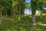 7266 Harlow Dr - Photo 16