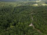 0 Dogwood Hollow - Photo 18