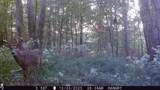 3899 Boston Theta Road - Photo 64