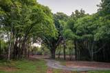 0 Parker Branch Rd - Photo 4