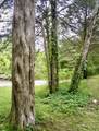 42 Paradise Hills Ln - Photo 20