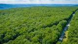 0 Deep Woods Road - Photo 7