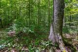 0 County Road 121 - Photo 24
