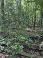 850 Lick Hollow Drive - Photo 1