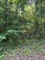 850 Lick Hollow Drive - Photo 5