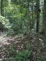 850 Lick Hollow Drive - Photo 7