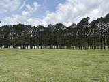 0 Dry Fork Dr - Photo 2