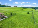 4133 Liverworth Rd - Photo 41
