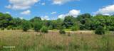 2 Clem Creek Rd - Photo 5