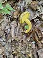 1 Teludachee Trail - Photo 12