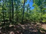 1 Teludachee Trail - Photo 8