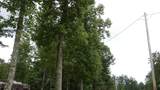 442 Valley View Circle - Photo 57