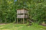 7700 Daugherty Capley Rd - Photo 8