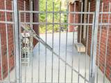 1618 Buckingham Dr - Photo 12