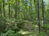 455 Moss Spring Hollow Road - Photo 2