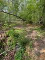 455 Moss Spring Hollow Road - Photo 7