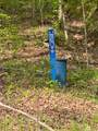 455 Moss Spring Hollow Road - Photo 8