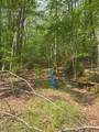 455 Moss Spring Hollow Road - Photo 9