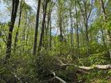 455 Moss Spring Hollow Road - Photo 10
