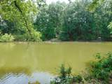 2995 Beech Creek Loop - Photo 8