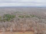 0 Wiley Branch Road - Photo 8