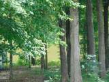 2993 Beech Creek Loop - Photo 3