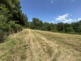 1 New Hope Cemetery Rd - Photo 14