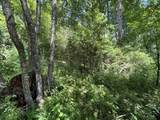 1 New Hope Cemetery Rd - Photo 20