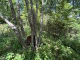 1 New Hope Cemetery Rd - Photo 21