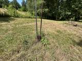 1 New Hope Cemetery Rd - Photo 8