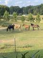 1422 Dove Ln - Photo 3