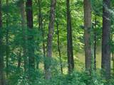 2991 Beech Creek Loop - Photo 8