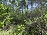 0 Big Hollow Rd - Photo 4
