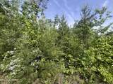 0 Big Hollow Rd - Photo 8